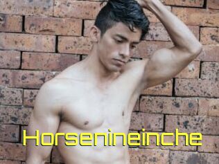 Horsenineinche