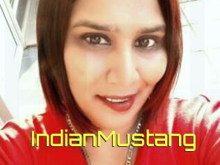 IndianMustang