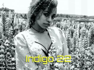 Indigo_22