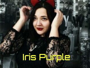 Iris_Purple