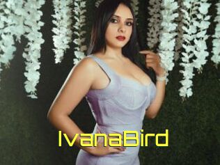 IvanaBird