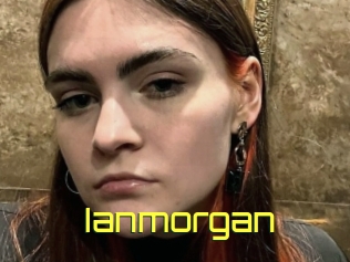 ianmorgan Pine De Lapin
