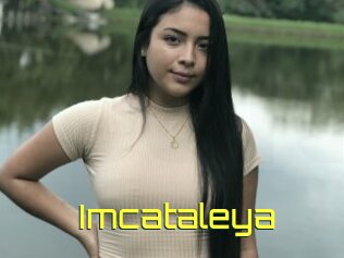 Imcataleya