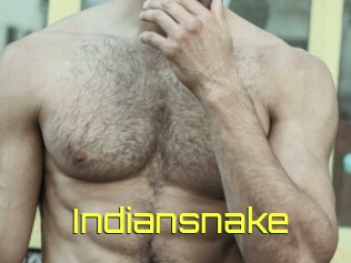 Indiansnake