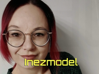 Inezmodel