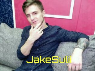 JakeSulii