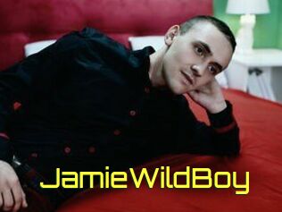 JamieWildBoy