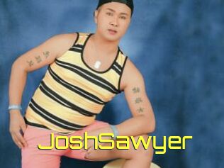 JoshSawyer