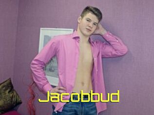 Jacobbud