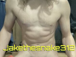 Jakethesnake312