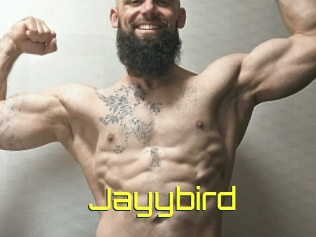 Jayybird