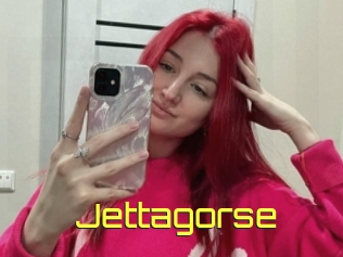 Jettagorse