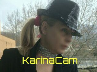 KarinaCam