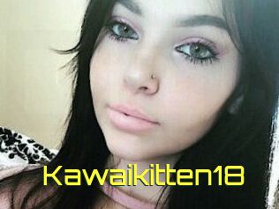 Kawaikitten18