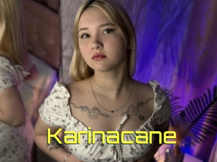 Karinacane