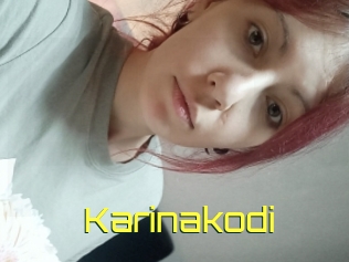 Karinakodi