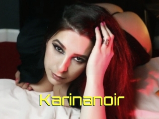 Karinanoir