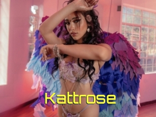 Kattrose