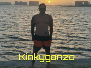 Kinkygonzo