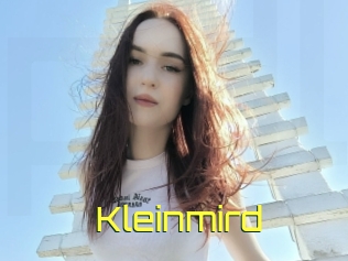 Kleinmird