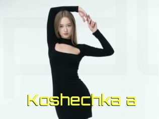 Koshechka_a