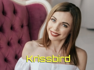 Krissbird