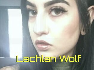 Lachlan_Wolf