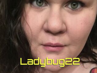 Ladybug22