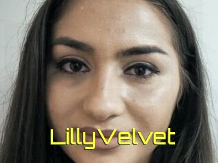 LillyVelvet