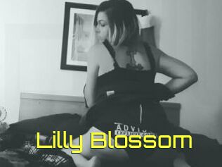 Lilly_Blossom