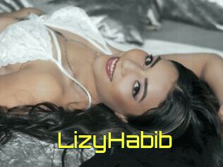 LizyHabib