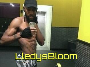 Lledys_Bloom