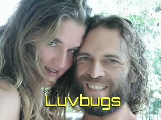 Luvbugs