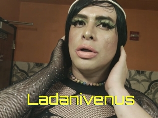 Ladanivenus