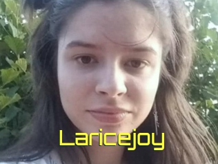 Laricejoy