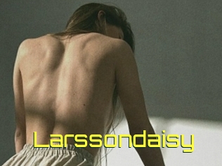 Larssondaisy