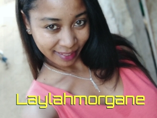 Laylahmorgane