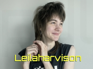 Leilaharvison