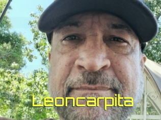 Leoncarpita