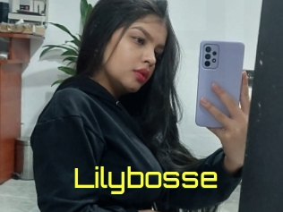 Lilybosse