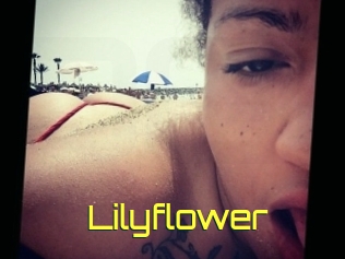 Lilyflower