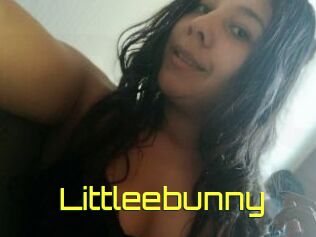 Littleebunny