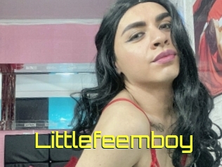 Littlefeemboy