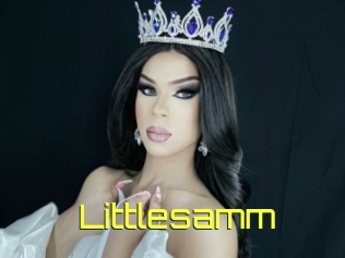 Littlesamm