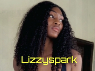 Lizzyspark