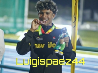 Luigispaez44