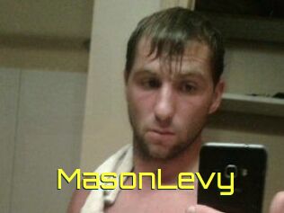 Mason_Levy