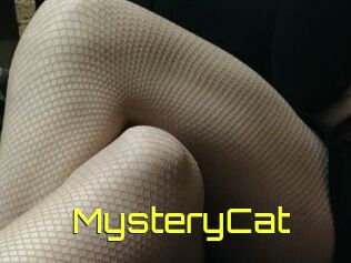 Mystery_Cat