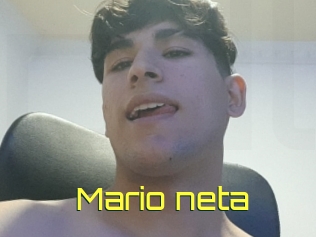 Mario_neta