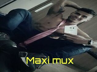 Maxi_mux